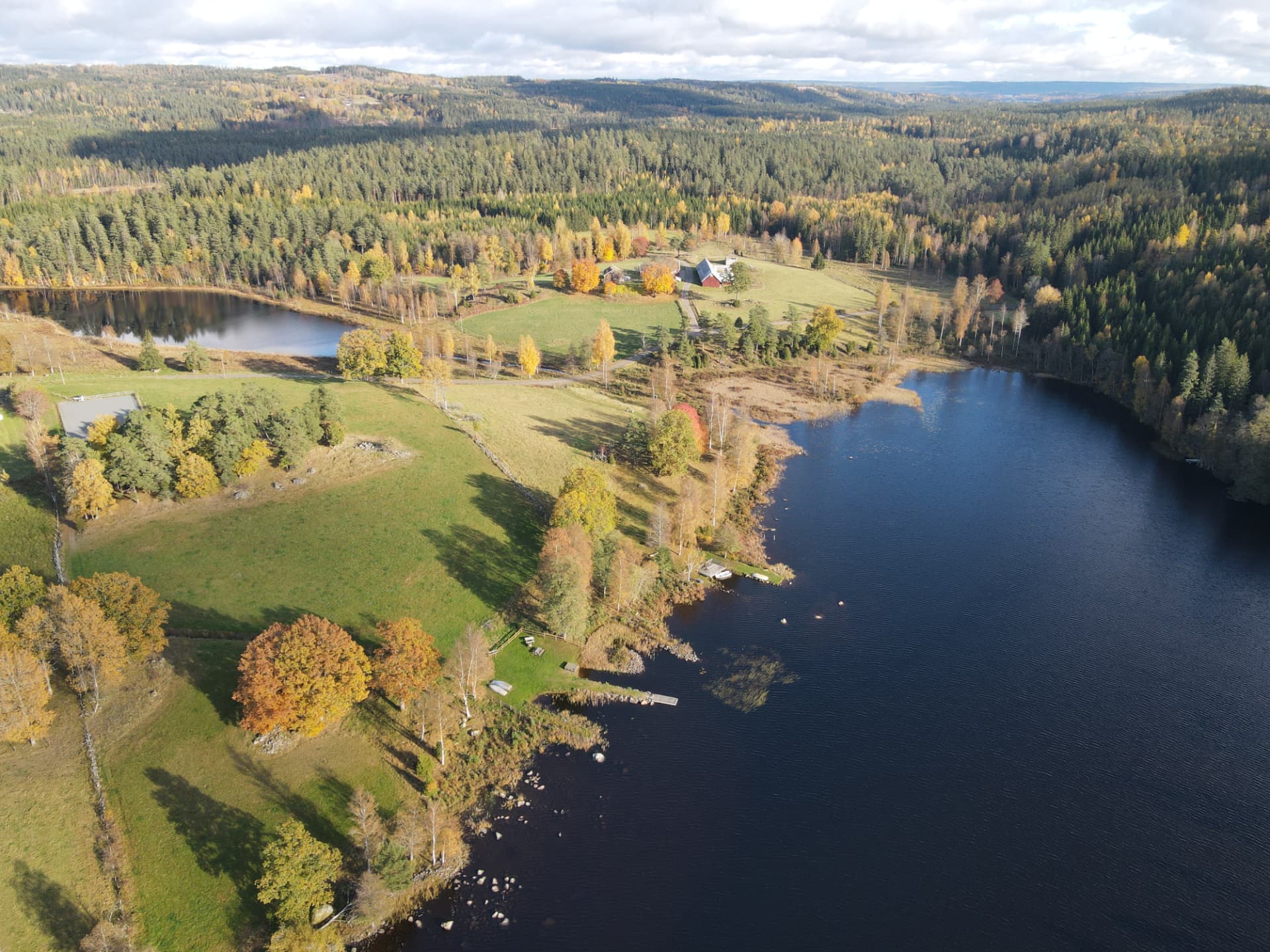 Luftfoto af søbred med enge, spredte træer og gårdbygninger mellem skovene.